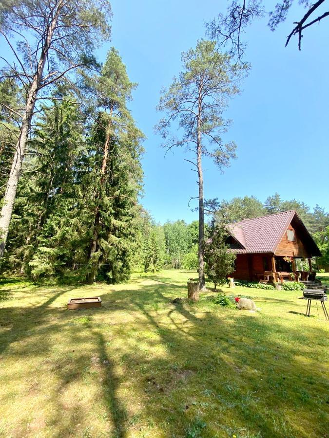ドルスキニンカイ Rojaus Slenisヴィラ エクステリア 写真