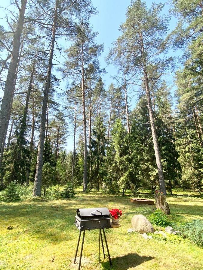 ドルスキニンカイ Rojaus Slenisヴィラ エクステリア 写真