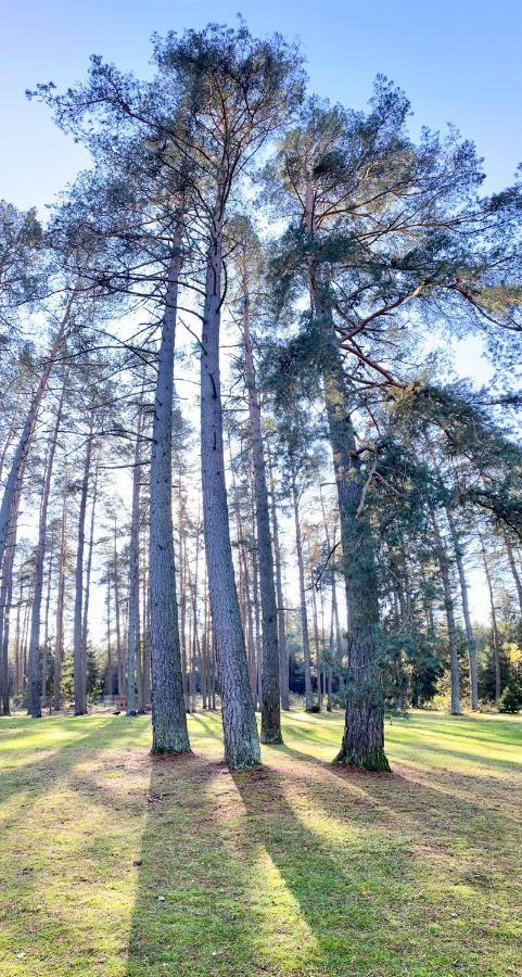 ドルスキニンカイ Rojaus Slenisヴィラ エクステリア 写真