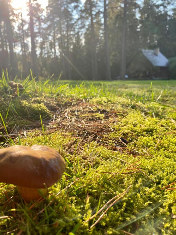 ドルスキニンカイ Rojaus Slenisヴィラ エクステリア 写真