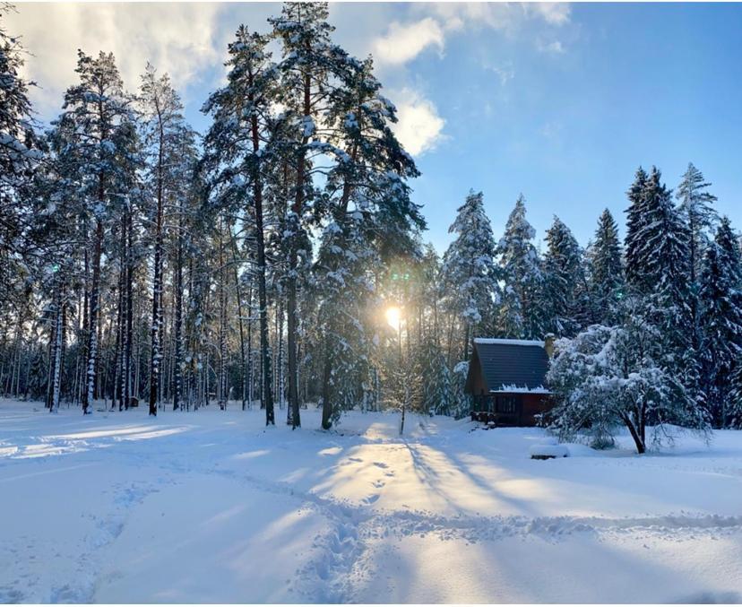 ドルスキニンカイ Rojaus Slenisヴィラ エクステリア 写真