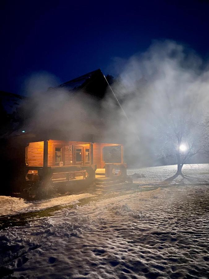 ドルスキニンカイ Rojaus Slenisヴィラ エクステリア 写真