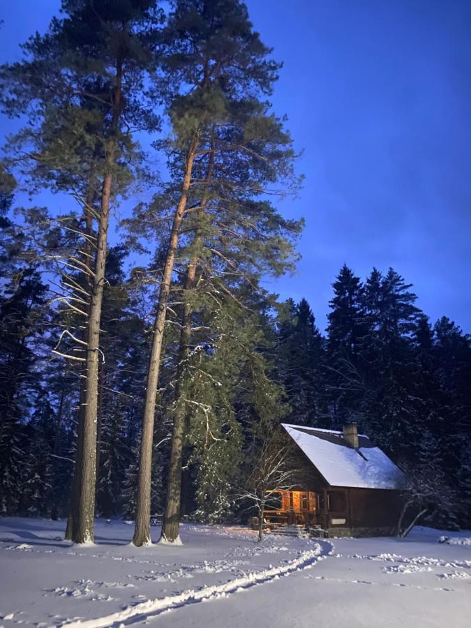 ドルスキニンカイ Rojaus Slenisヴィラ エクステリア 写真
