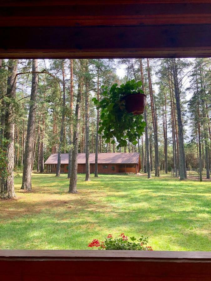 ドルスキニンカイ Rojaus Slenisヴィラ エクステリア 写真