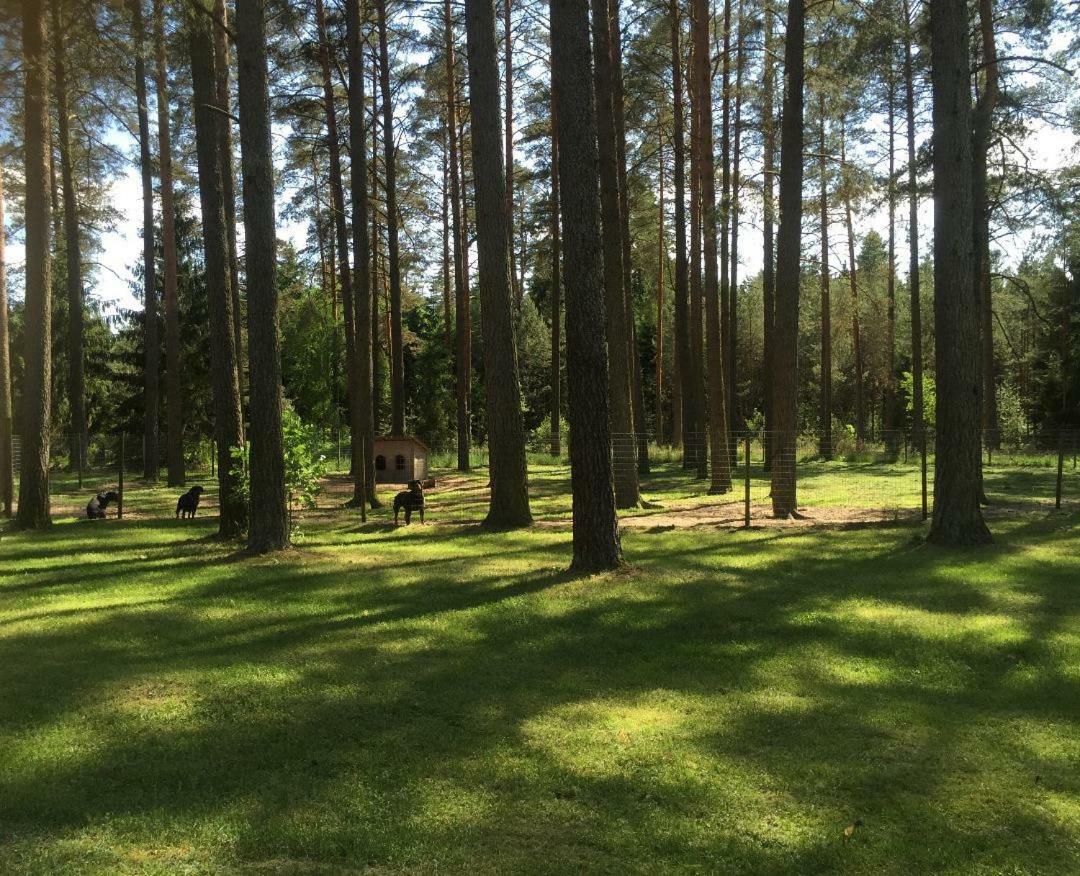 ドルスキニンカイ Rojaus Slenisヴィラ エクステリア 写真